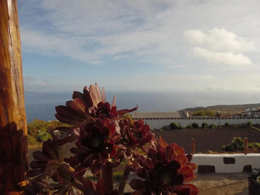 Apartamento Con Vistas contacts
